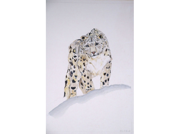 leopard, watercolor
