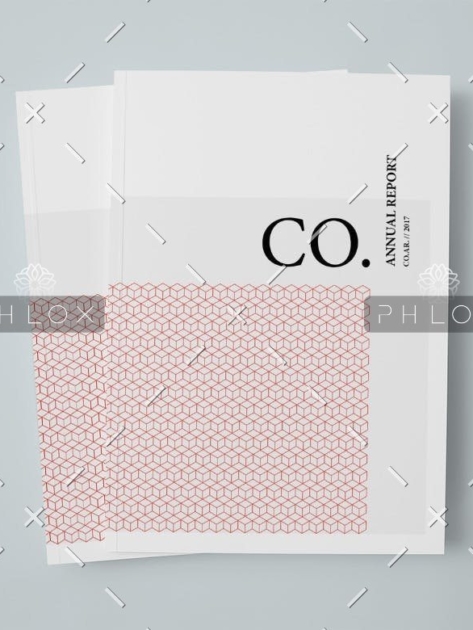 demo-attachment-18-CO.-Annual-Report